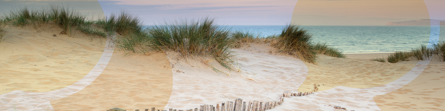 Project: Your views on Sand Dunes at Sandbanks | BCP Council