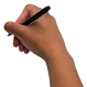 The Easy Read Survey was available online